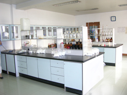 Citric Acid Anhydrous|Citric Acid Monohydrate|Stem--Jiangsu Guoxin Union Energy Co.,Ltd.